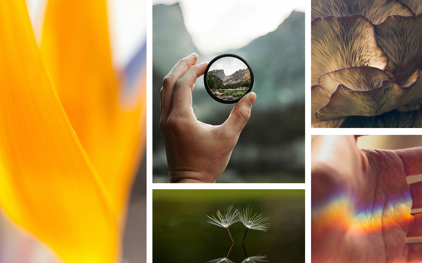 MarcasHonestas_Web_Aplis_540x336_5